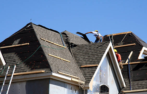 Roof Gutter Cleaning in Eutaw, AL